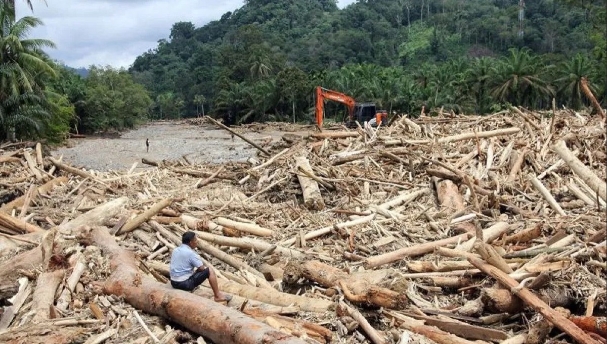 Gelondongan-Kayu