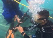 Aksi Patroli Gabungan Polda NTT Gagalkan Perburuan Rusa Ilegal di Pulau Komodo