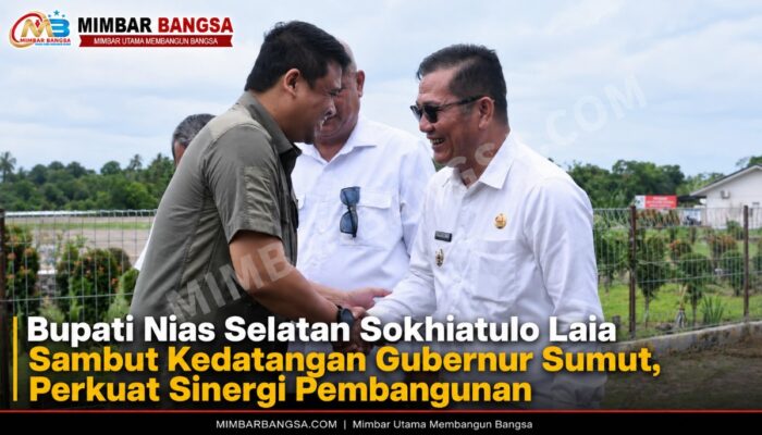 Bupati Nias Selatan Sokhiatulo Laia Sambut Kedatangan Gubernur Sumut, Perkuat Sinergi Pembangunan
