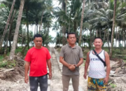 Pantai Nanio, Pesona Baru Kabupaten Nias Selatan yang Mengagumkan